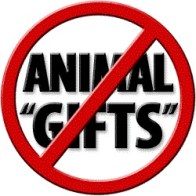 no-animal-gifts-250-sq-b-s-