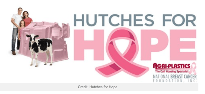 Screen Shot 2017-11-05 at 4.23.24 PM