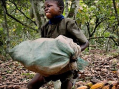 Screen Shot 2018-04-02 at 9.12.44 PM