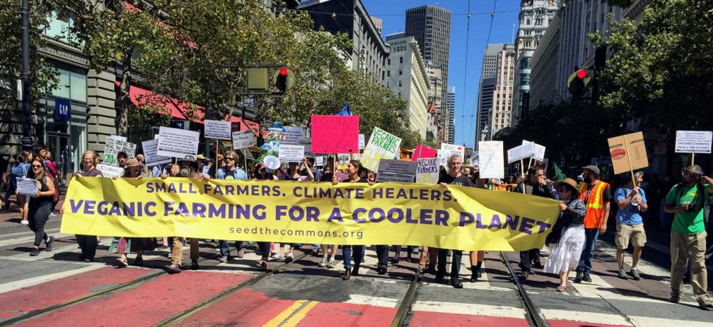 Screen Shot 2018-10-11 at 2.27.00 AM