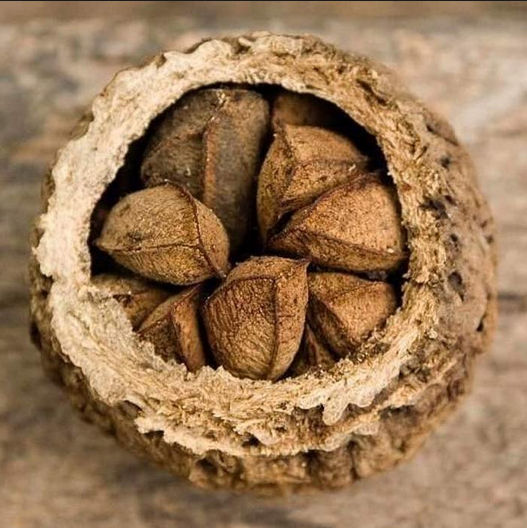 Screen Shot 2018-12-05 at 6.06.42 PM