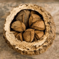 Screen Shot 2018-12-05 at 6.06.42 PM