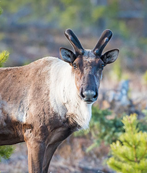 Screen Shot 2019-04-04 at 7.02.52 PM