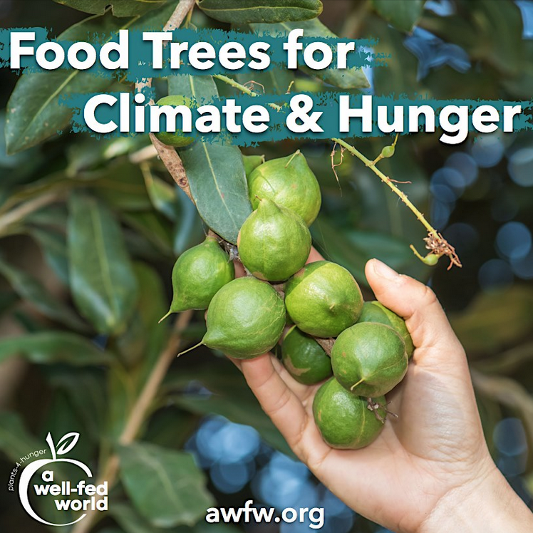 Screen Shot 2019-09-04 at 8.22.24 PM