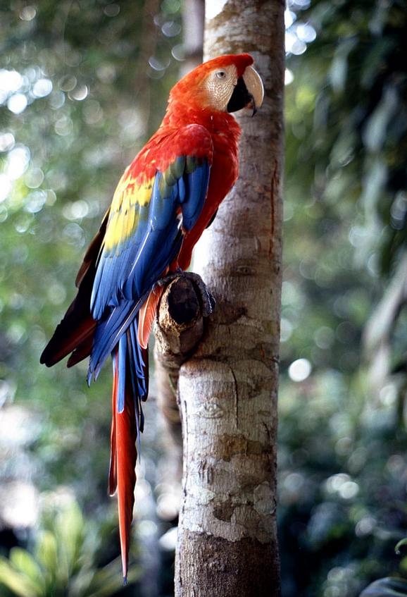 Screen Shot 2019-09-05 at 2.55.08 PM