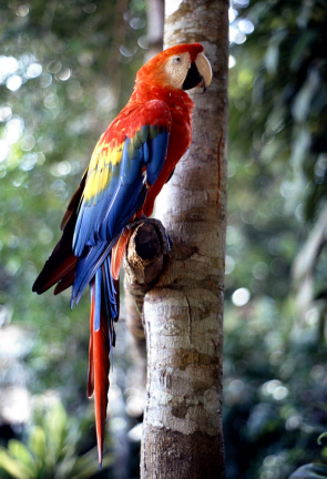 Screen Shot 2019-09-05 at 2.55.08 PM