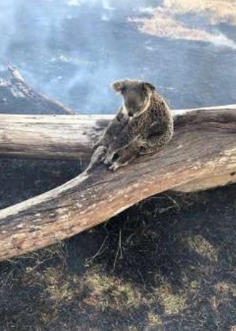 Screen Shot 2019-12-06 at 6.18.42 PM