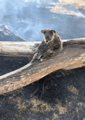 Screen Shot 2019-12-06 at 6.18.42 PM