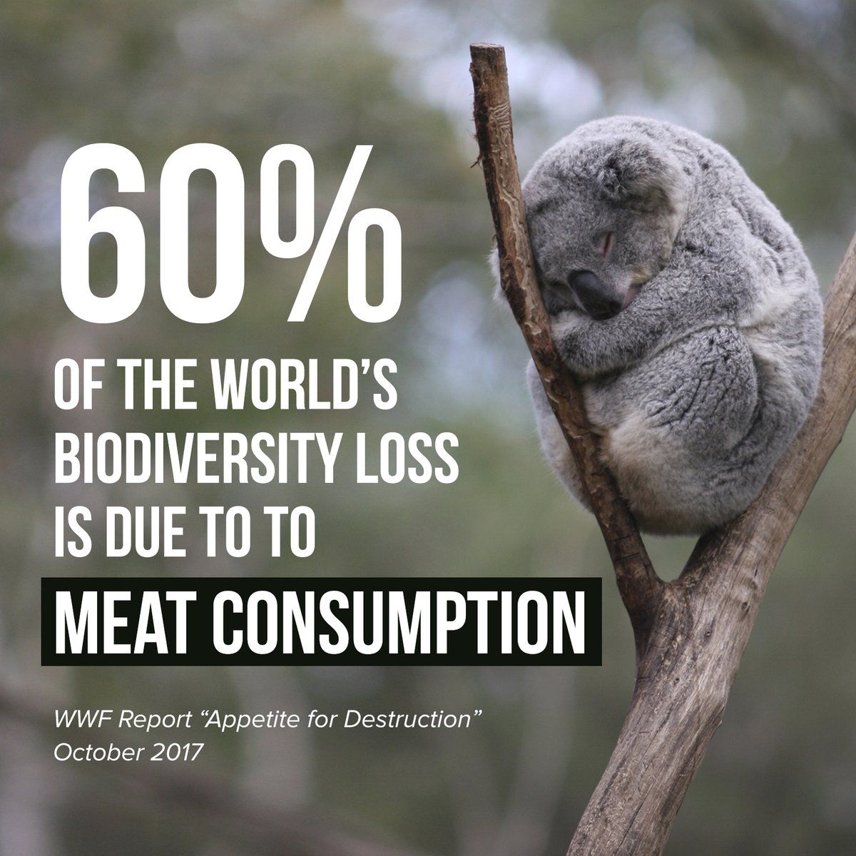 3df6d069ce58a976bf8d4cfc9360bc6b