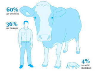 Screen Shot 2020-02-04 at 9.22.01 PM