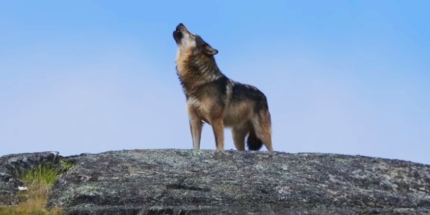 TAKAYA, photo by Cheryl Alexander